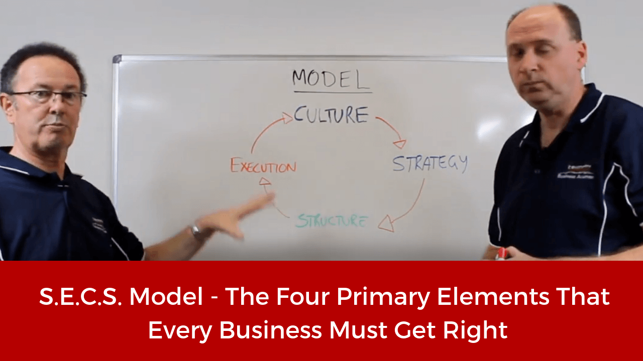 SECS Model